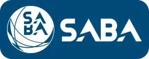Visa icon